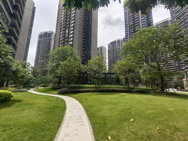 南宁西乡塘安吉澜月府空房出租,澜月府,小区环境优美,有游泳池,绿化好