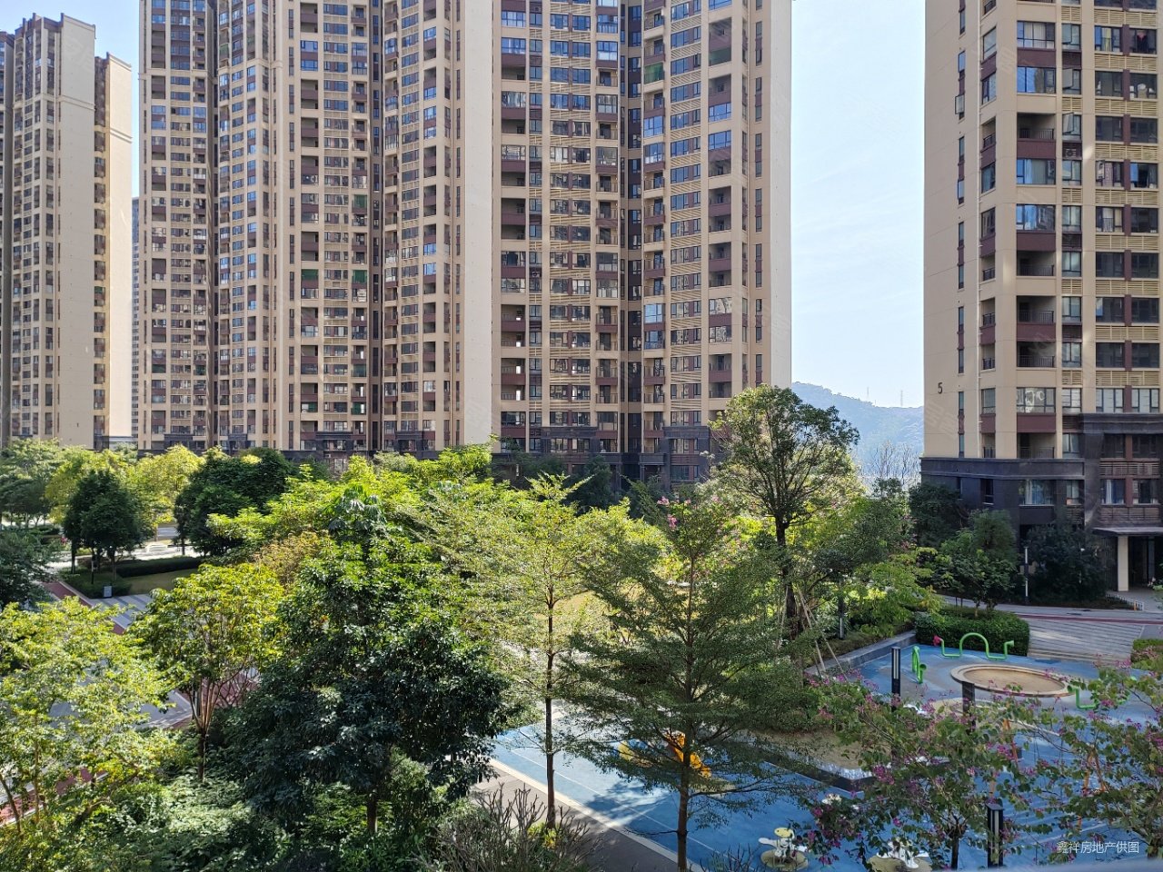 特价60.9个中洲半岛城邦四期 三房 南向看花园 采光好