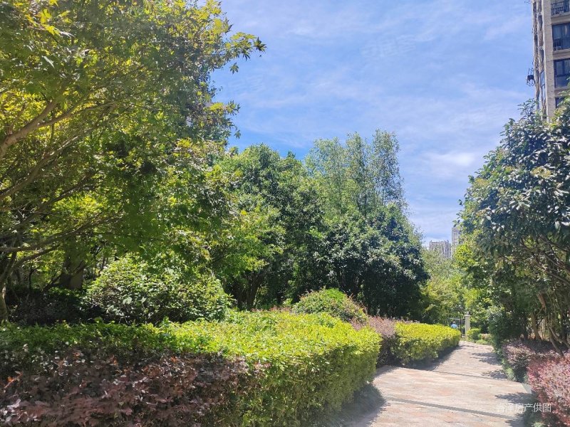 青林湾三期纯洋房小区,顶加阁,精装修,保养好,利用空间多