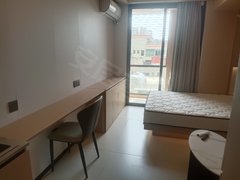 深圳宝安松岗(房源已审) 品牌公寓 可养宠物 视野开阔出租房源真实图片