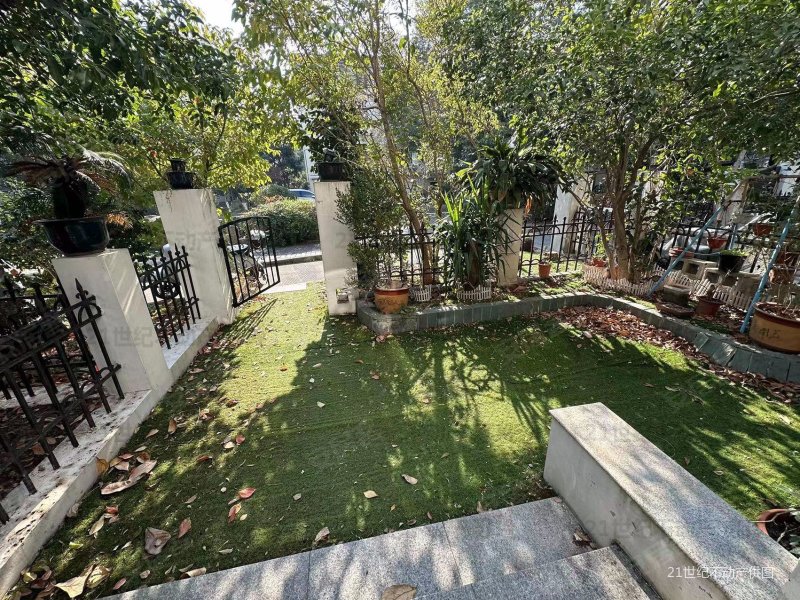 九亭半岛花园联排别墅带花园送车库客厅挑高真实房