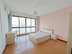 合肥新站火车站可短租 火车站 中绿广场 白马 中环国际大厦信地国际胜利广场出租房源真实图片