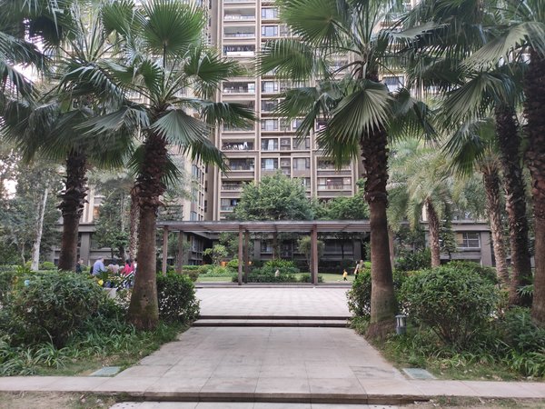 小区泳池篮球场设施齐全环境好,松山湖租房-东莞58安居客