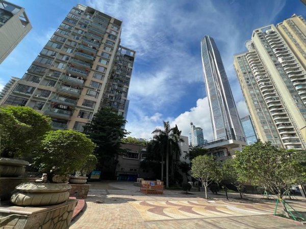 深圳福田福田中心区城中雅苑城中雅苑精装修房2室,采光好,低价出租