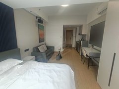 深圳南山西丽官龙第二工业区 精装修 专属客服 家电齐全出租房源真实图片