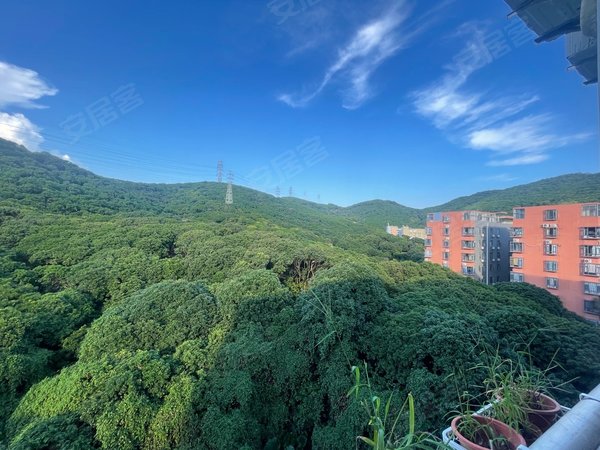 深圳南山西丽留仙洞大厦一线山景房!