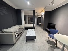 贵阳南明花果园中央商务区,精装轻奢风一室一厅,领包入住,押一付一,无中介出租房源真实图片