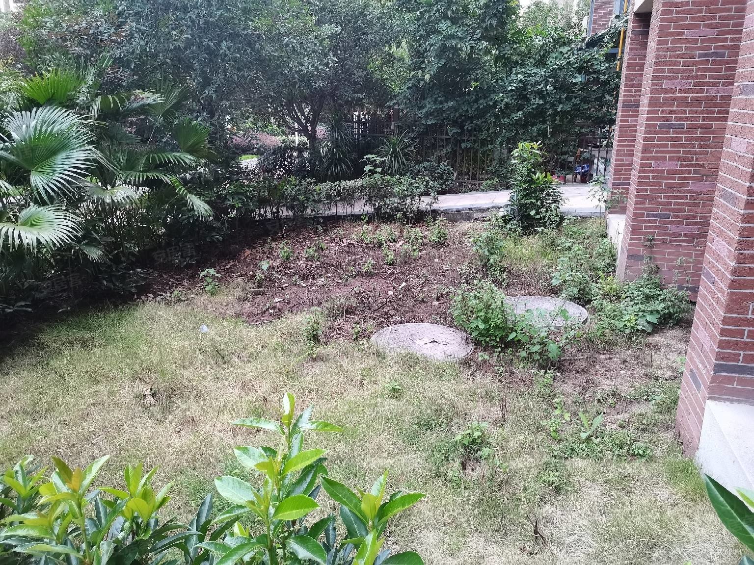 典雅花溪半岛洋房区二手房,51万,1室1厅,1卫,52.39平米-重庆安居客