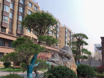 澳城花园,双羊街,近凤山路 - 潍坊澳城花园二手房,租房,房价-潍坊安居