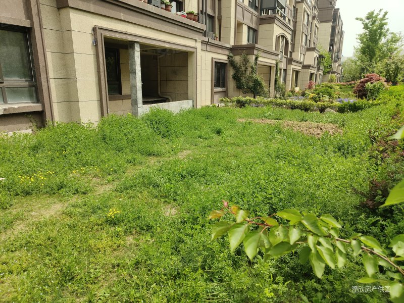 维维紫悦台 洋房两层带大院子 南北通透 四叶草户型