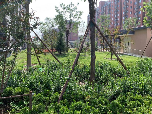 北京海淀上庄明信家园清泽园精装南向一居室 近永丰 用友 中关村壹号