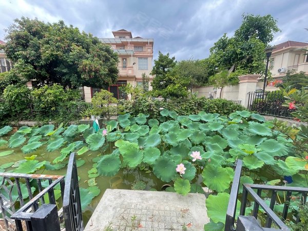 花都雅居乐别墅图片