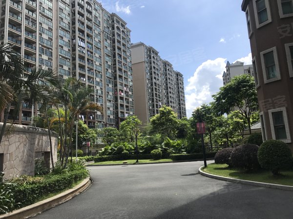 东莞塘厦新行政中心隆福花园隆福花园3房2卫精装修出租房子保养好