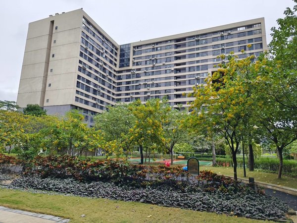 【多图】碧桂园星港国际,镜湖大道租房,(高层望小区游泳池)采光好