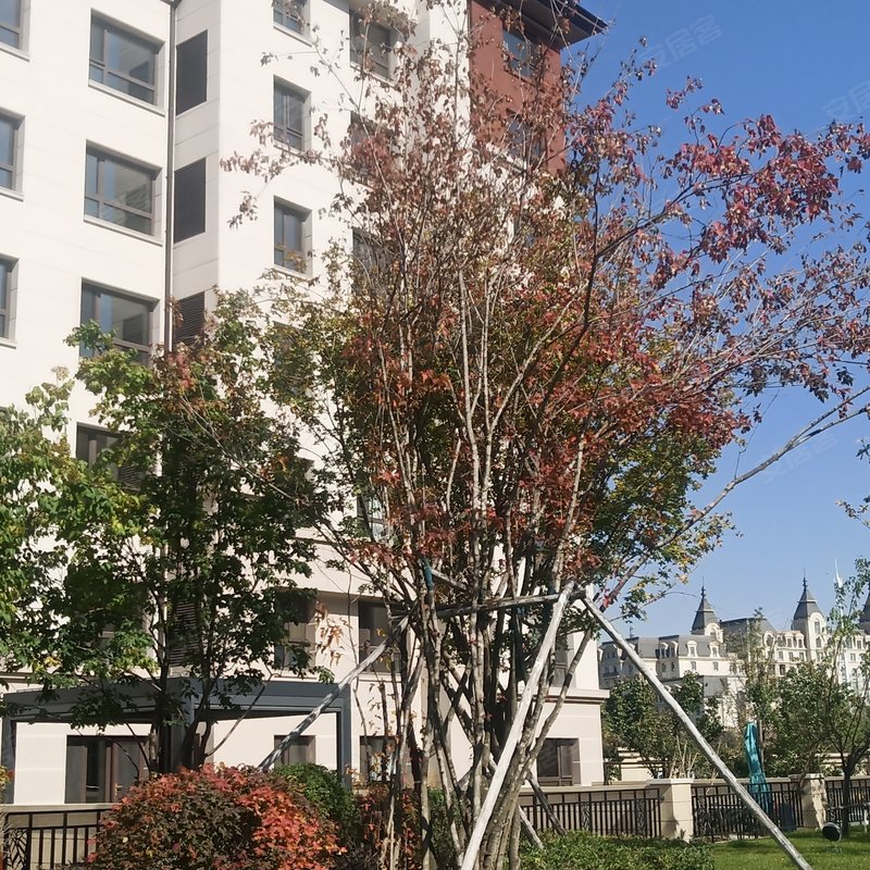 【国信南山桃花源, 国信南山桃花源小区详情,房价走势,房源,业主论坛