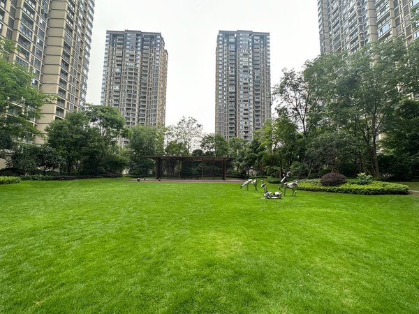 绿地保税中心二期精装一室!拎包入住!楼下双轻轨保税出租房源真实图片