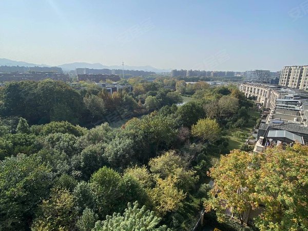 杭州西湖西溪富越香溪(公寓住宅)超高性价比2房2厅出租 视野好采光好