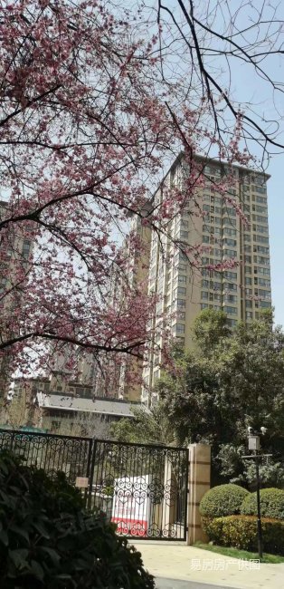 天朗大兴郡蔚蓝青城|大兴东路71号2室2厅1卫82.59平方