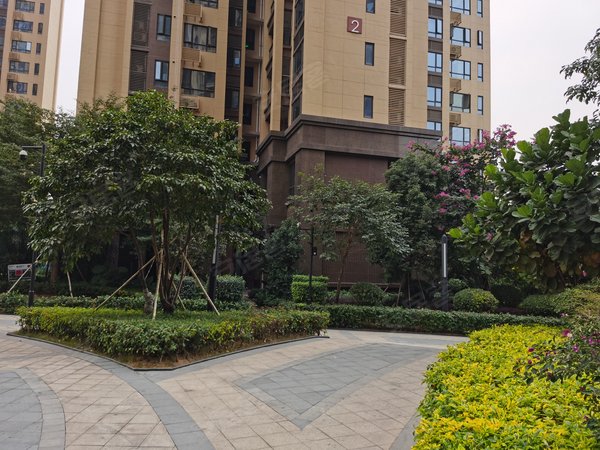 深圳龙华观澜阳基御龙山观澜近4号长湖地铁花园小区阳基御龙山精装大