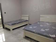 铜川耀州耀州中央广场白桦国际 1室1厅1卫出租房源真实图片