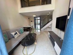 东莞塘厦老区星河时代(商住楼) 3室2厅2卫  电梯房 精装修54平米出租房源真实图片