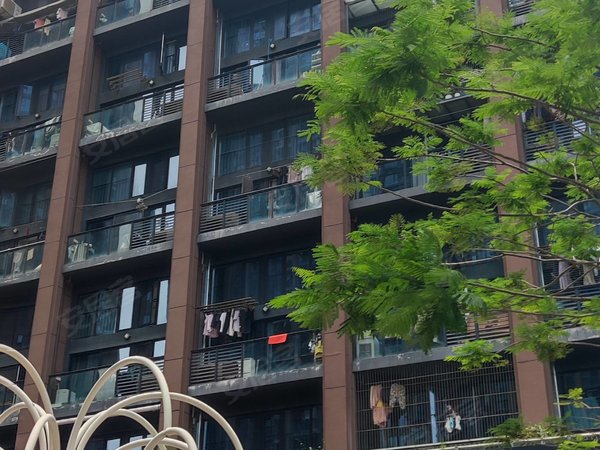 深圳龙华梅林关口新彩苑(商住楼)房源采光好,南北通透,业主诚意出出租