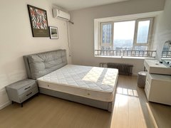 漯河源汇源汇城区电子科技大厦 1室1厅1卫 电梯房 南北通透 配套齐全出租房源真实图片