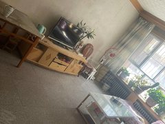 五家渠人民路人民北路商学院小区环境优美临近滨河公园出租房源真实图片