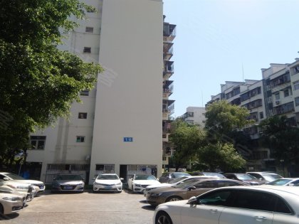 深圳小区 福田小区 华强北小区 红荔村 红荔村怎么样