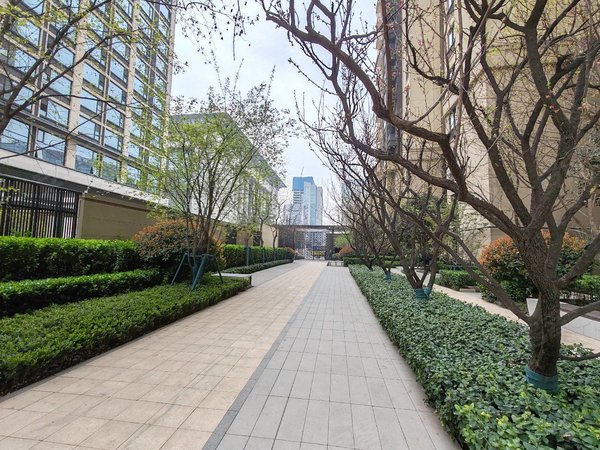 【多图】朗诗雁南栖,国展中心租房,急租高院旁 精装两室 全新家电