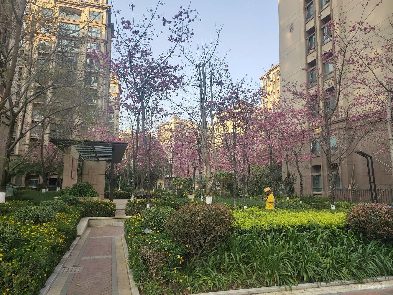 巫家坝大商汇广福路蓝光水岸公园横厅出售