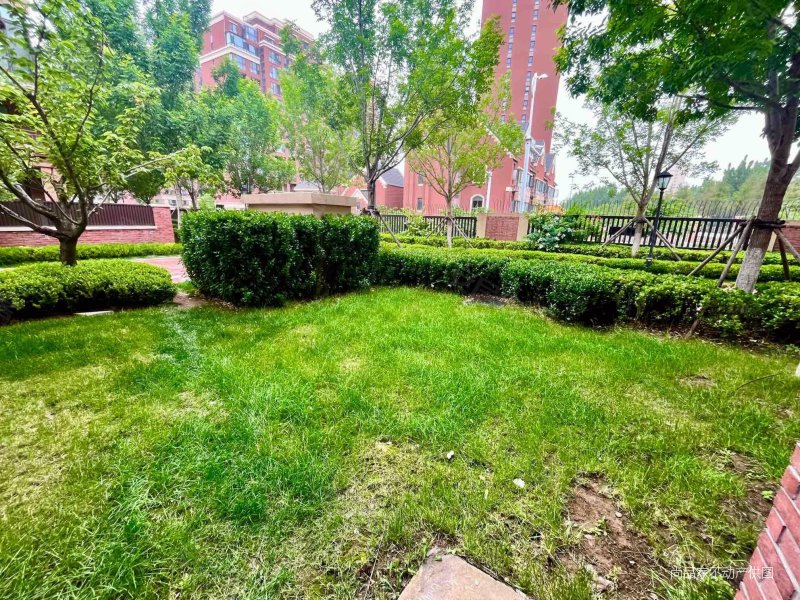 青特小镇e区4室2厅2卫169㎡南350万