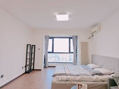 北京朝阳亚运村亚运村小营 大屯 欧陆经典风格派精装一居室出租房源真实图片
