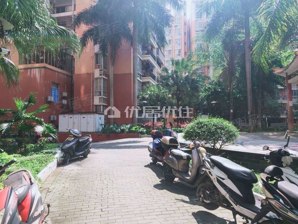 【多图】棕榈湾,安吉租房,棕榈湾 押二付三 2室 整租 精装 63平 视野