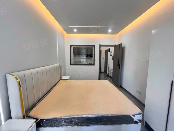 苏州吴中城南苏悦汇商业广场苏悦汇精装公寓 近清树湾地铁 小石城 香