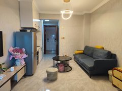 龙岩新罗南城899元 精装单身公寓 拎包入住出租房源真实图片