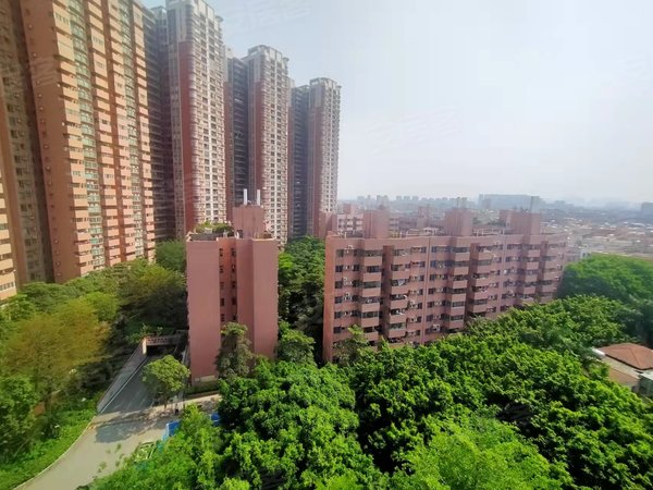 广州广州周边佛山瑞安花园瑞安公寓 民用水电 周边全便利 高档配置