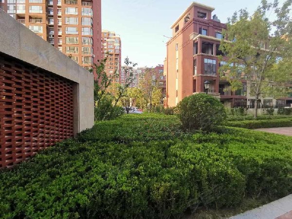 青岛城阳白云山公园青特小镇b区青特小镇b区 3室2厅2卫 南北通透 电梯