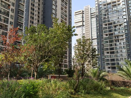 不足,锦林花园怎么样,锦林花园周边房产中介经纪人评价-曲靖安居客