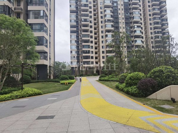 南宁江南沙井锦上城海吉星旁,新小区锦上城,电梯精装三房,配套出租,新