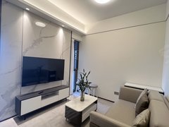 深圳龙华深圳北站豪华公寓一居室!诚意可以小刀,龙华深圳北站,配齐品牌家电出租房源真实图片