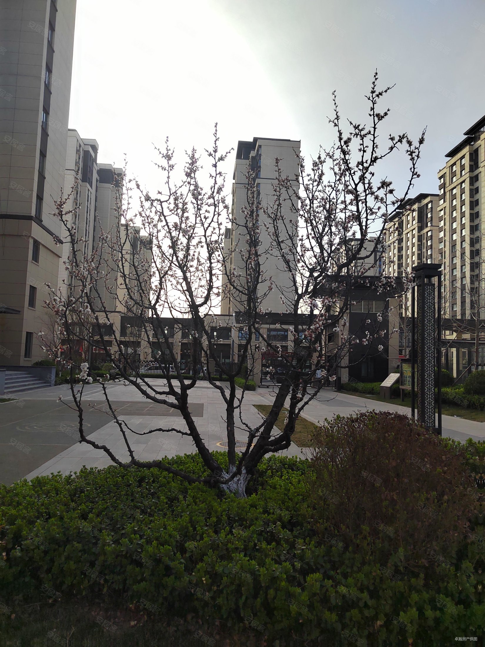 石家庄房产网>石家庄二手房>藁城二手房>邱头镇二手房>保利堂悦2期>