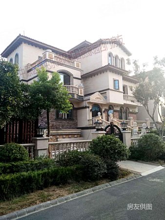 大溪地高档别墅,地下两层地上四层 双水双气 随时看房