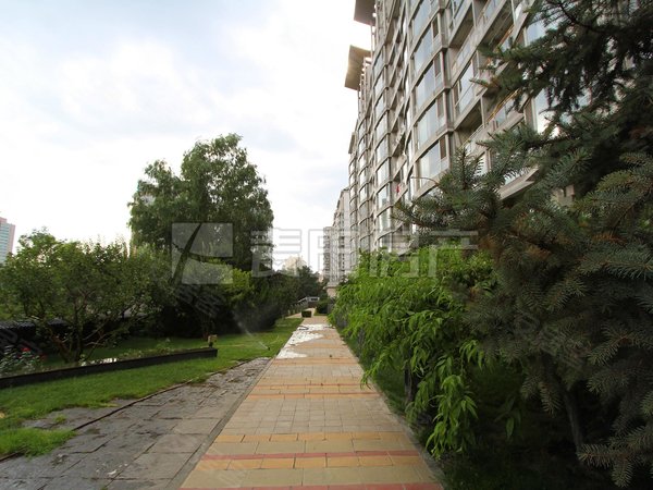 【多图】中海紫金苑,紫竹桥租房,西三环紫竹桥 中海紫金苑精装南北3居