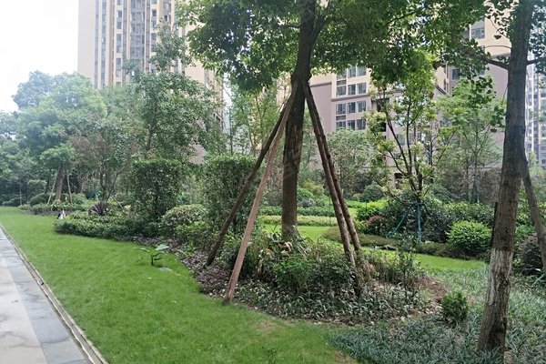 金地天府城(商住楼)