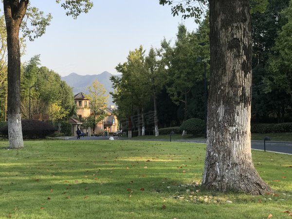 杭州富阳银湖九龙山庄(别墅)九龙山庄南进门大户型排屋4300诚心出租