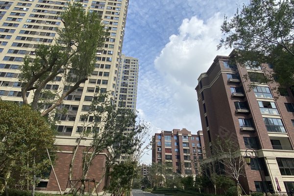 嘉兴小区 秀洲小区 秀洲小区 金地艺境 金地艺境怎么样