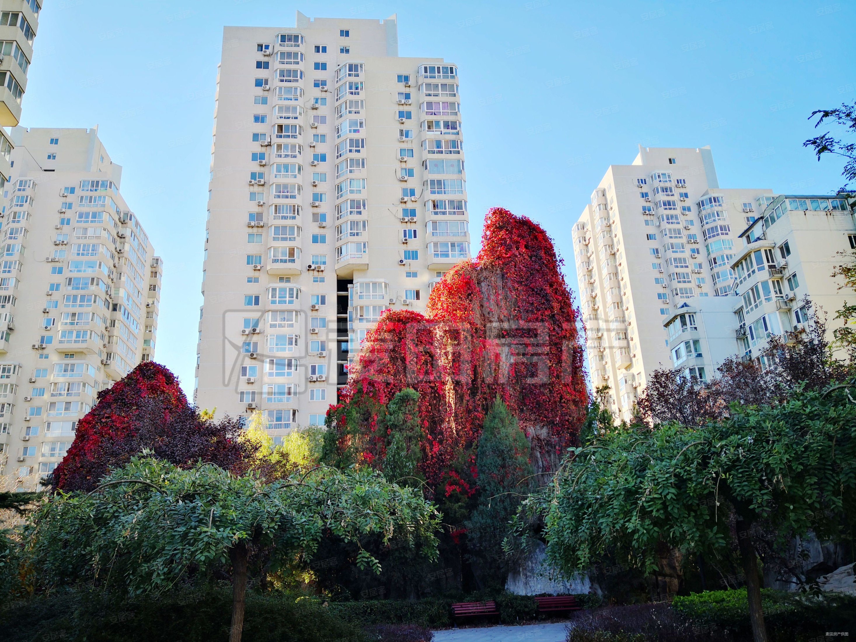 望京花园西区2室2厅1卫82.71㎡南北710万