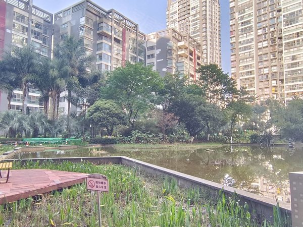 昆明盘龙火车北站星雅俊园北京路火车北站地铁口!星雅俊园!两室两厅!