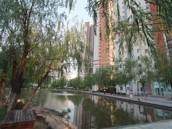 【多图】上元君庭,奥林匹克公园租房,2室2厅 上元君庭,朝阳租房-北京